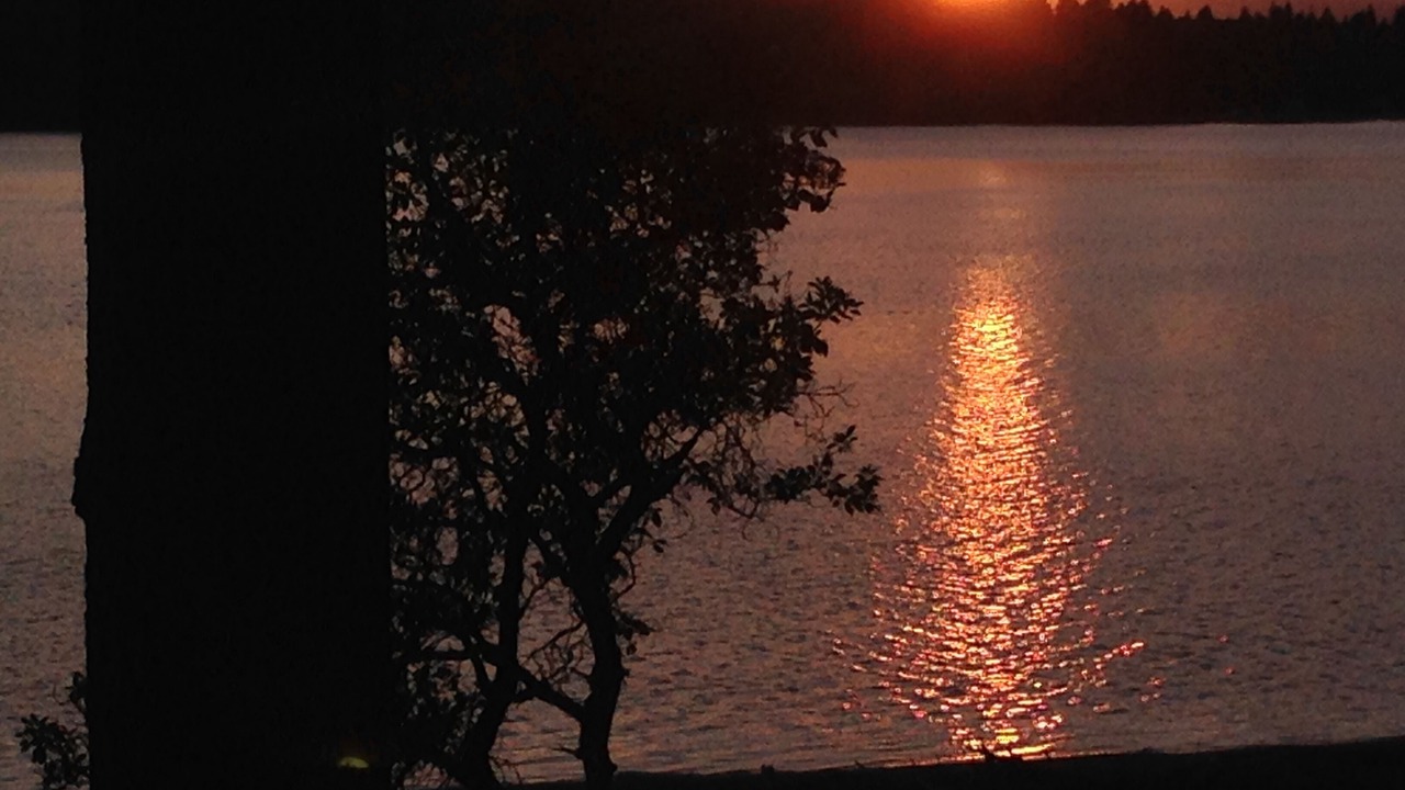 Photo of Others in Lakebay