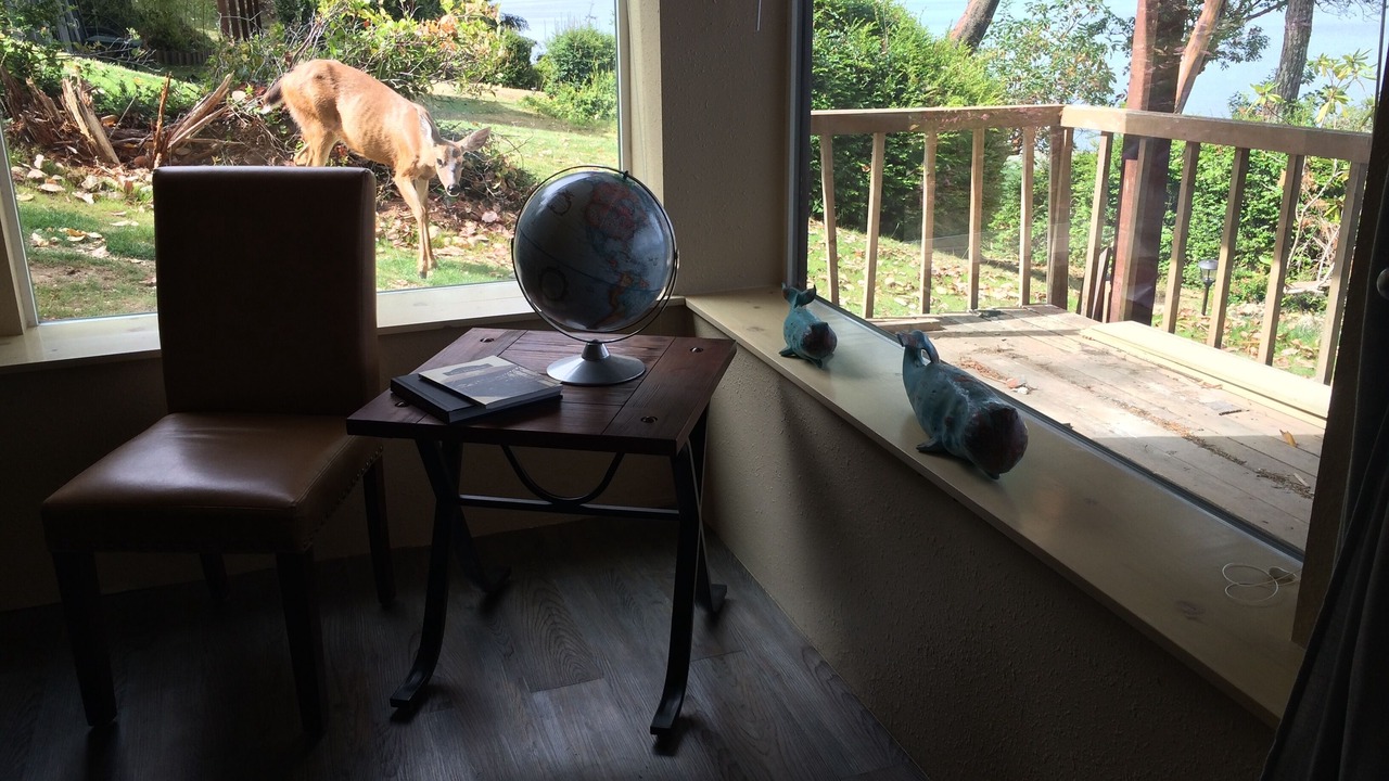 Photo of Bedroom in Lakebay