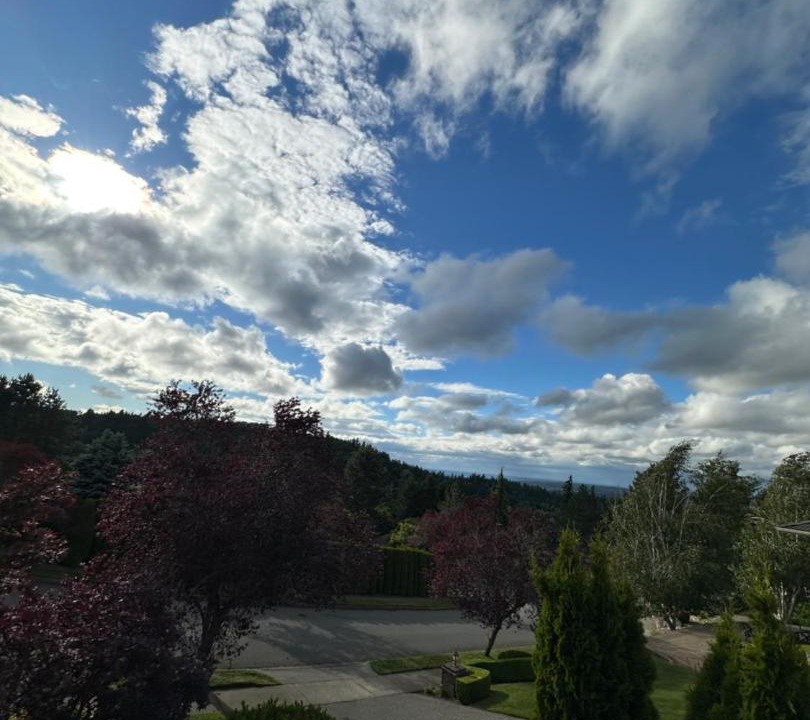 Photo of Others in Cougar Mountain