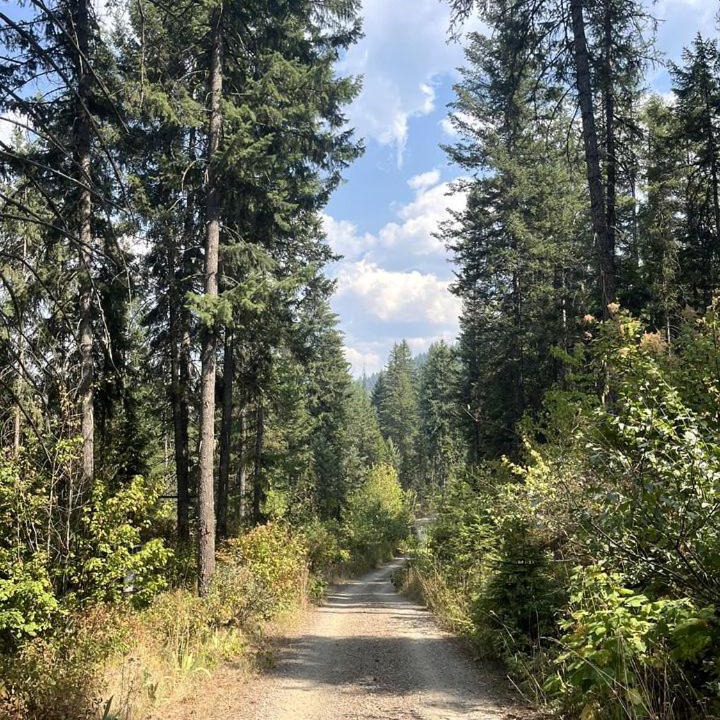 Photo of Others in Clark Fork