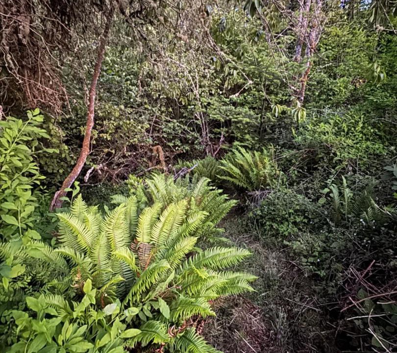 Photo of Others in Vashon Island