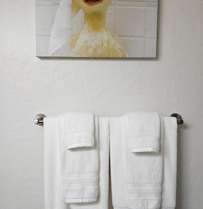Photo of Bathroom in Sagle