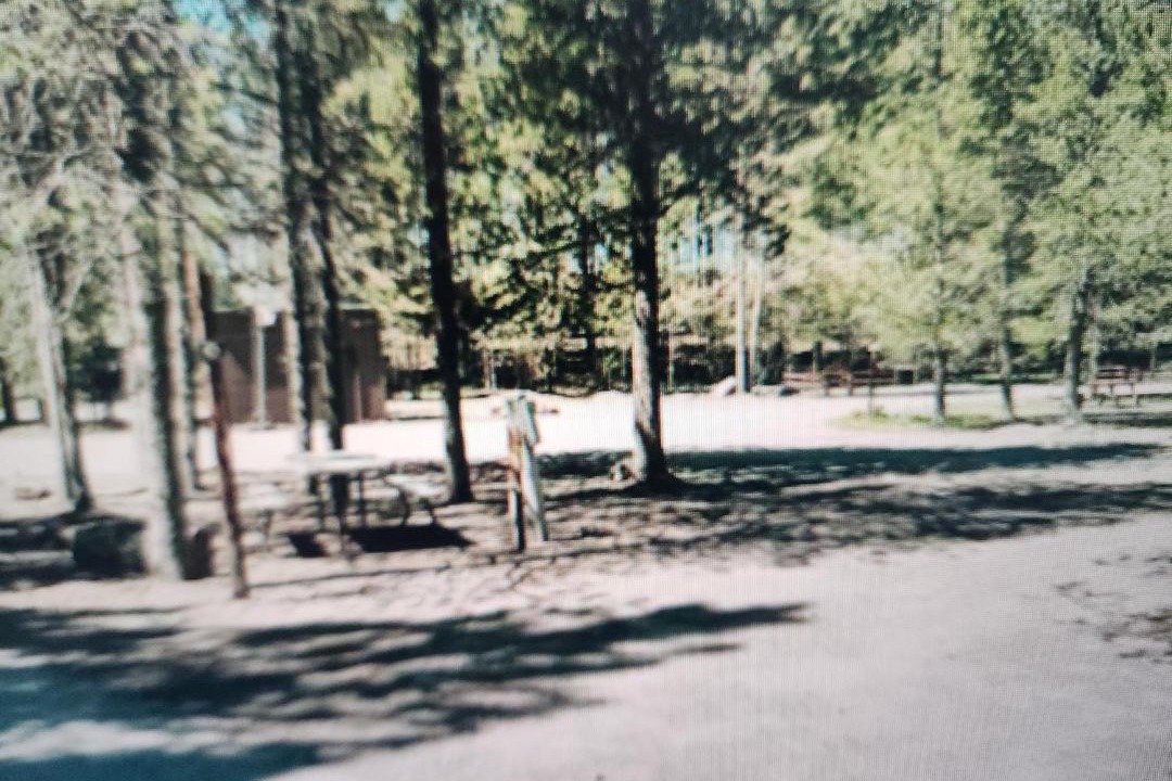 Photo of Others in Island Park