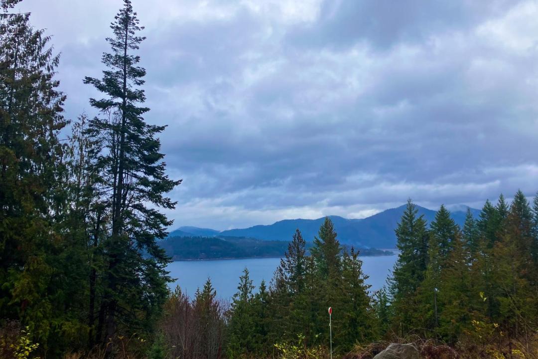 Photo of Others in Sandpoint