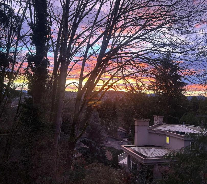 Photo of Others in Mercer Island