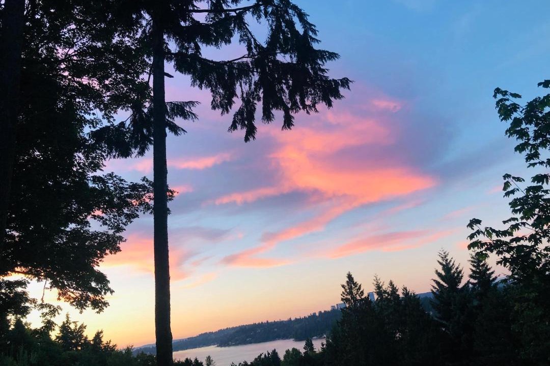 Photo of Others in Mercer Island
