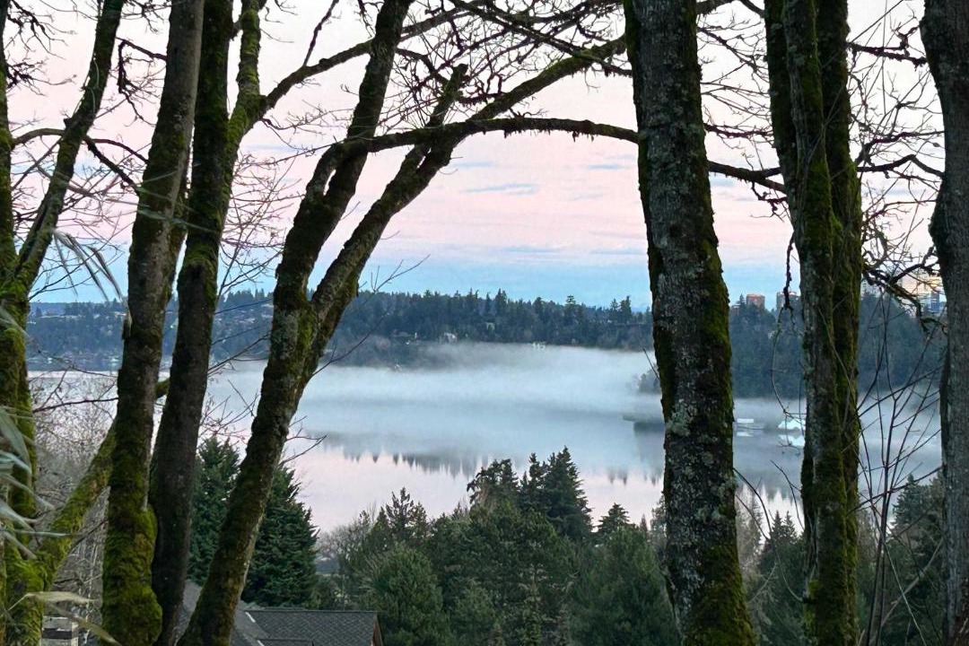 Photo of Others in Mercer Island