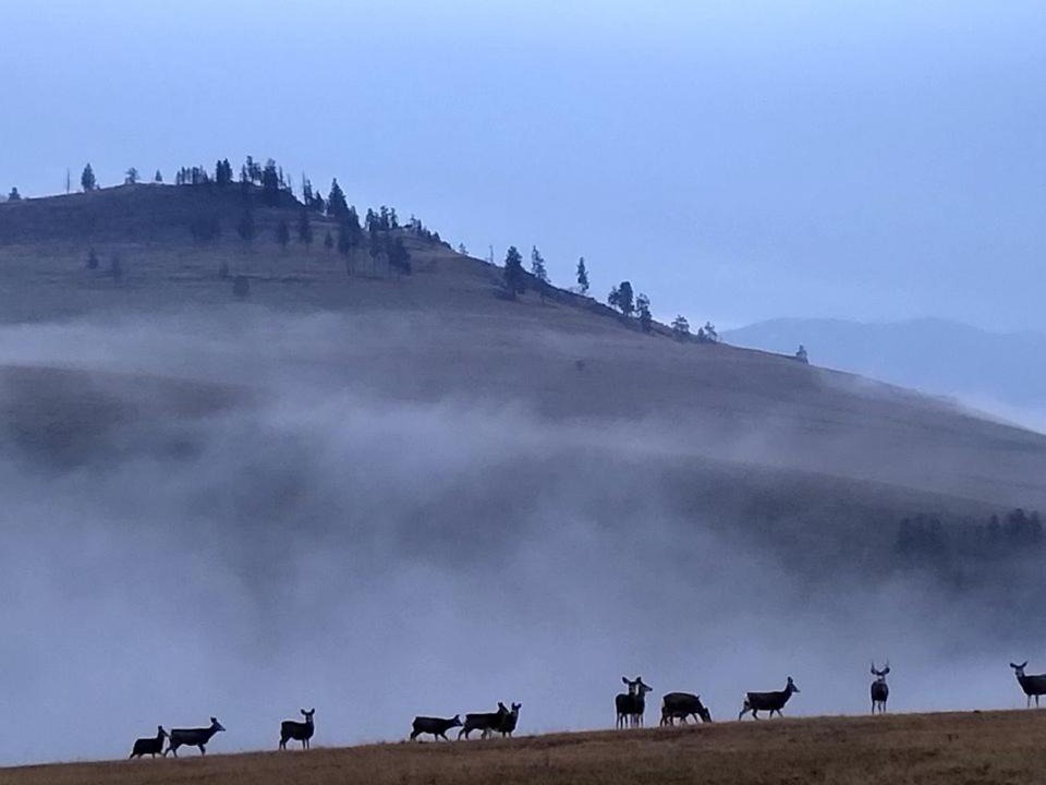 Photo of Others in Plains