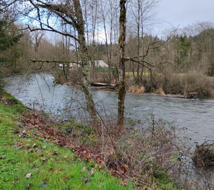 Photo of Others in Renton