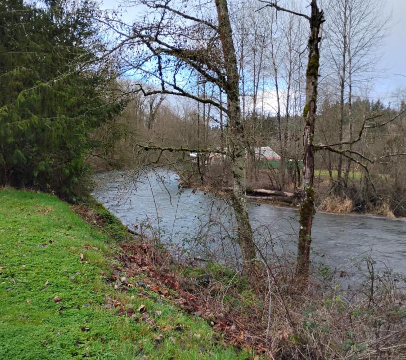Photo of Others in Renton