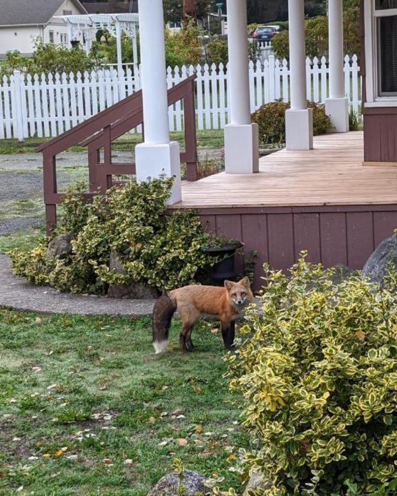 Photo of Others in Friday Harbor