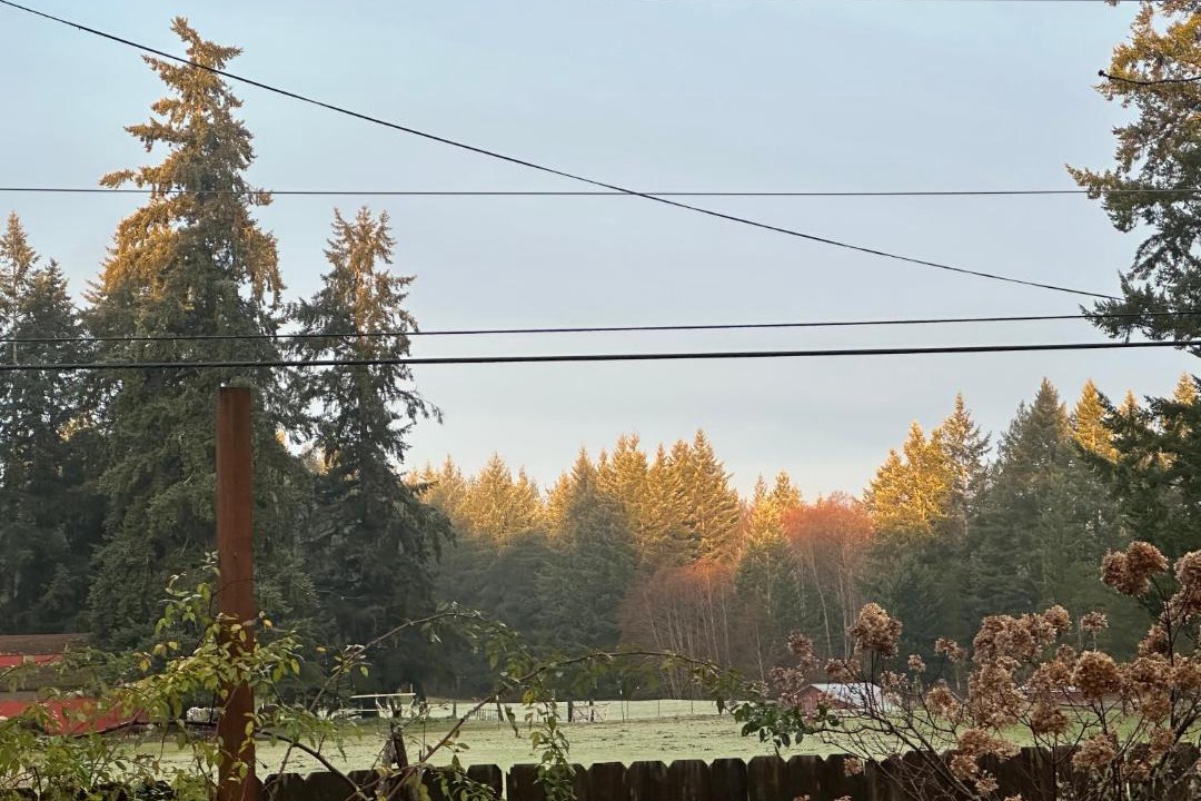Photo of Others in Port Orchard