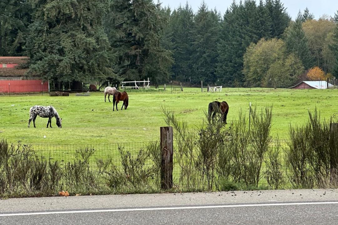 Photo of Others in Port Orchard