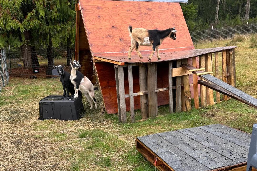 Photo of Others in Port Orchard