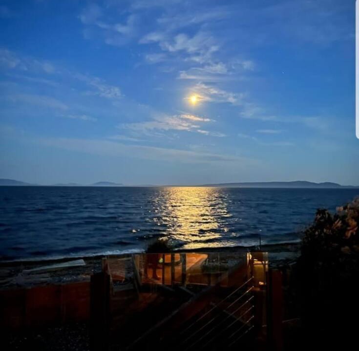 Photo of Others in Point Roberts