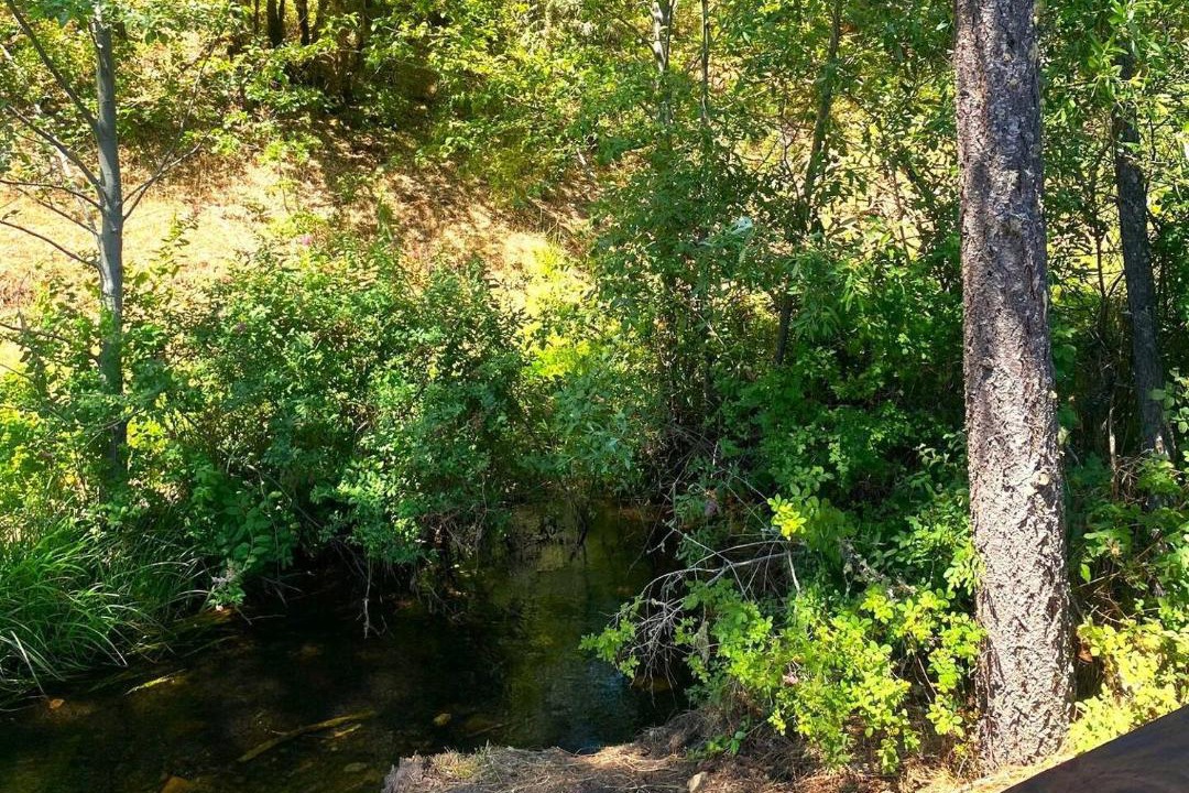 Photo of Others in Cave Junction