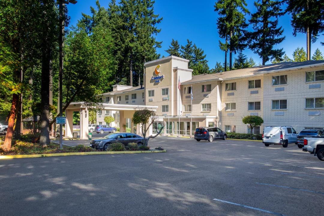 Photo of Others in Lacey