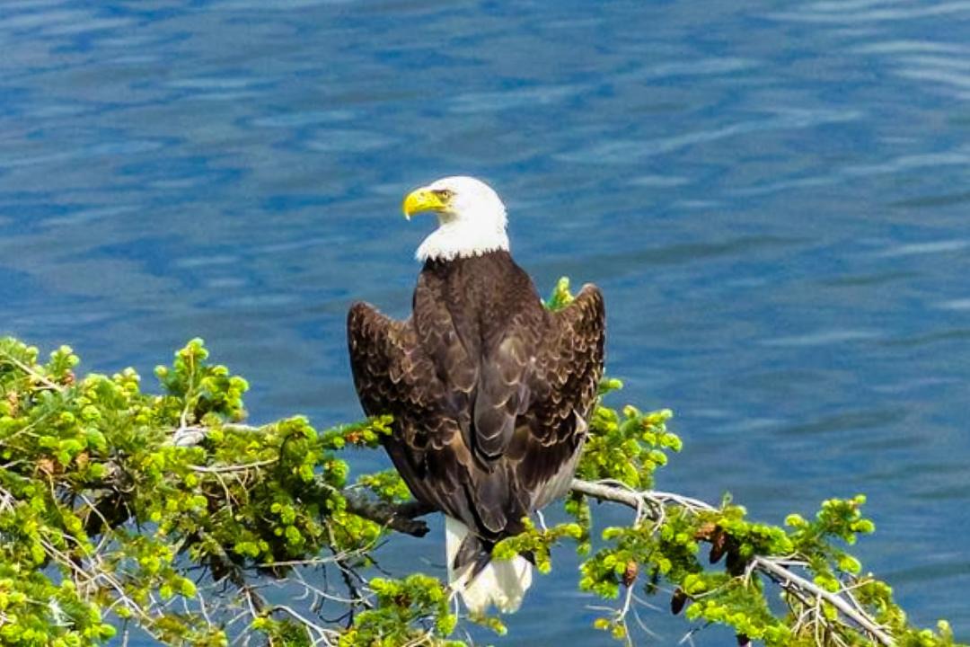Photo of Others in Diamond Point