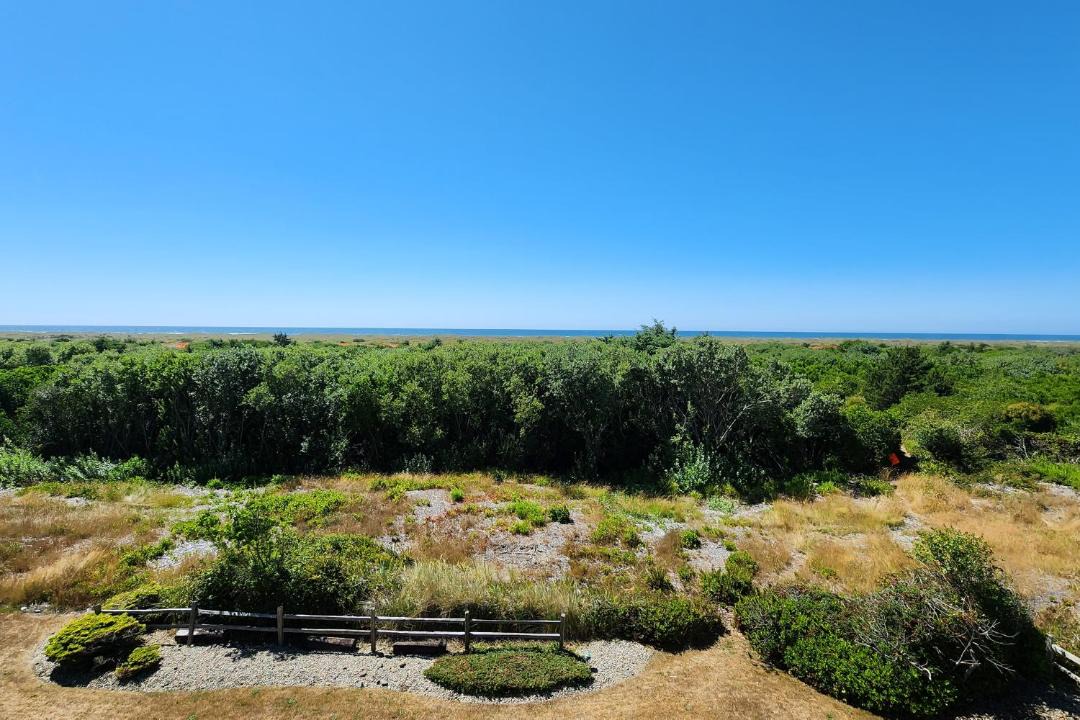 Photo of Others in Ocean Shores