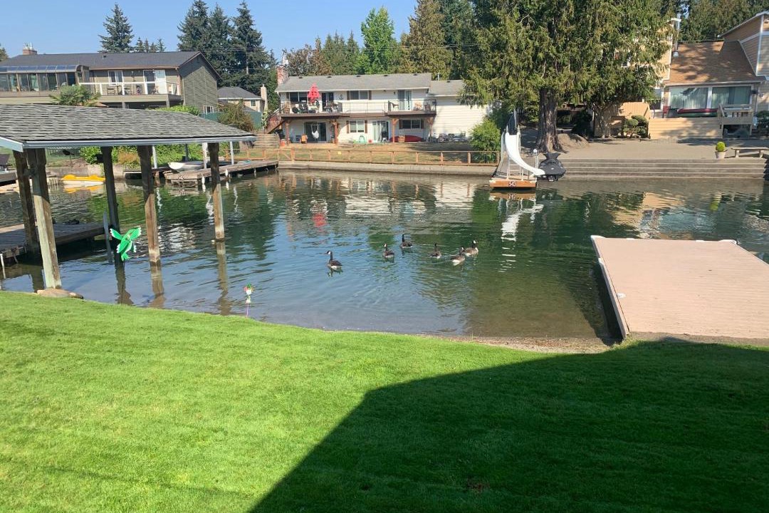 Photo of Others in Bonney Lake