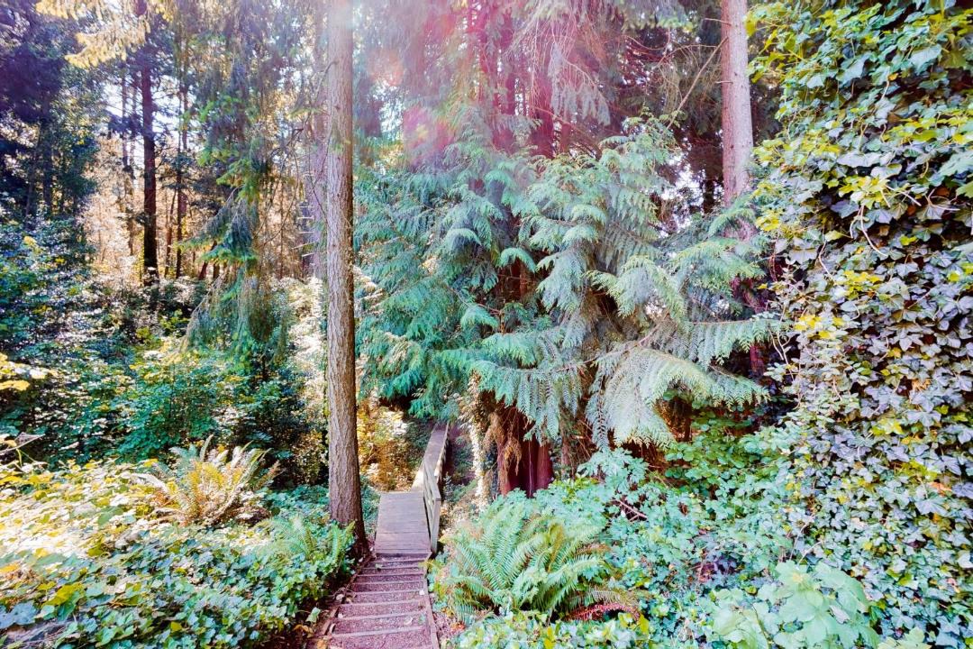 Photo of Outdoor in Gig Harbor