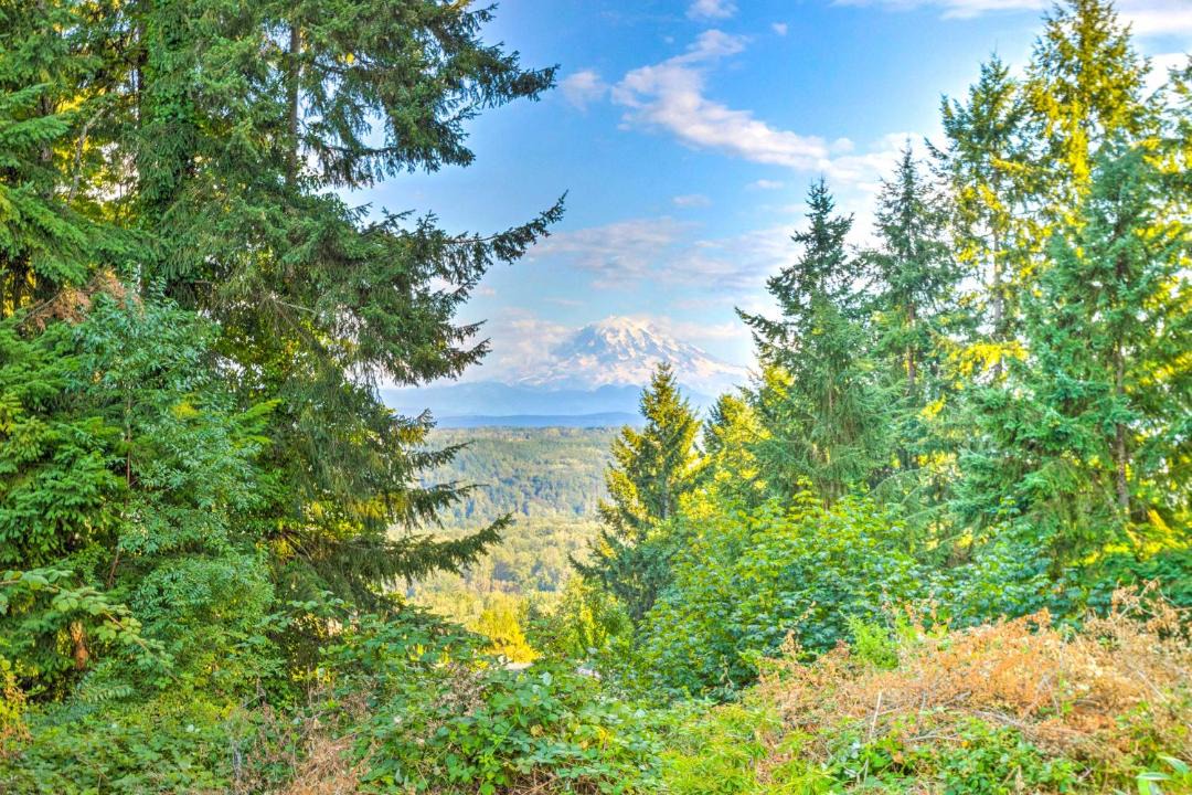 Photo of Outdoor in South Hill