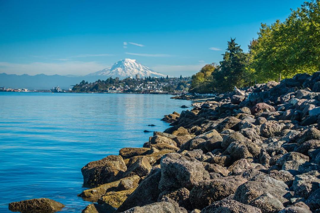 Photo of Others in Central Tacoma