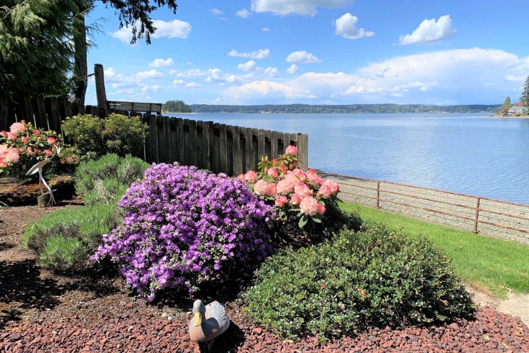 Photo of Others in Gig Harbor