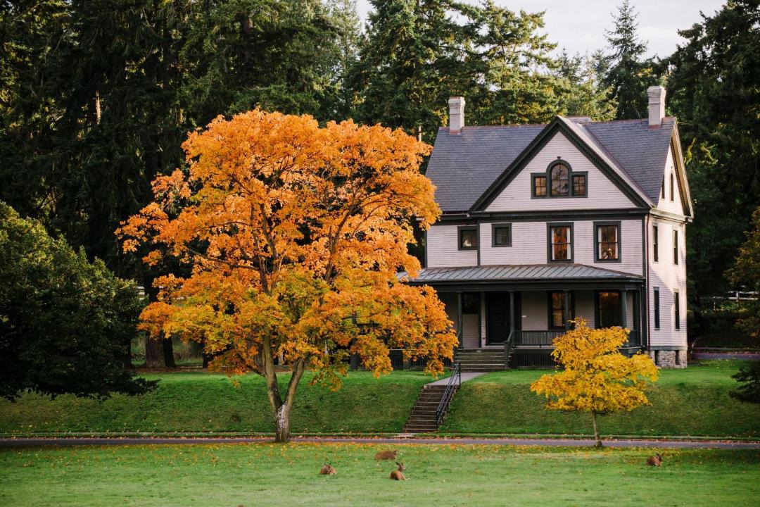 Photo of Buildings in Port Townsend