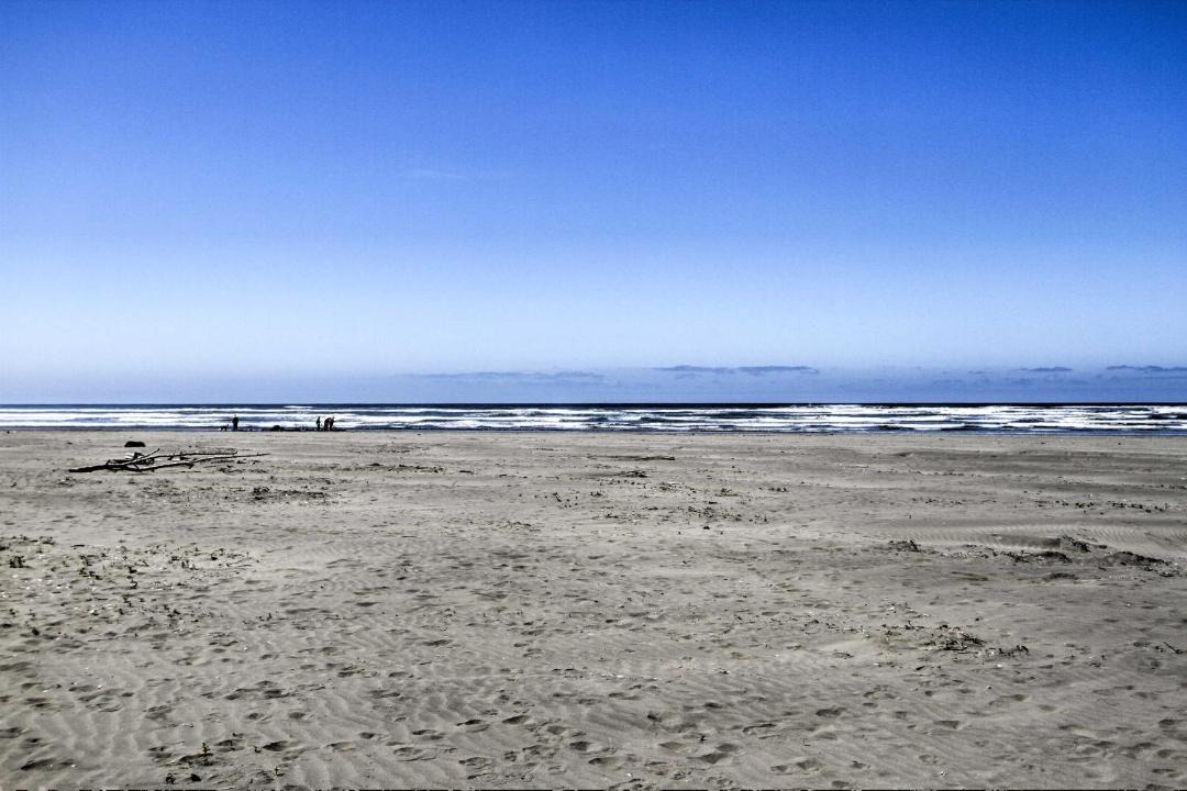 Photo of Others in Moclips
