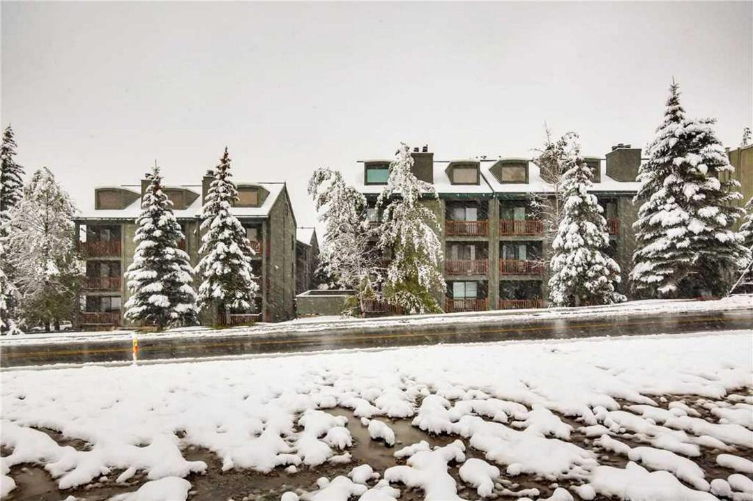 Photo of Others in North Park City