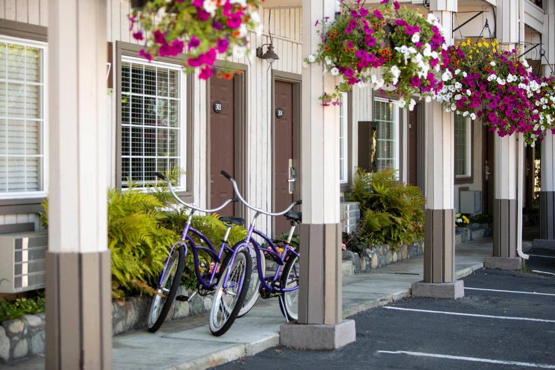 Photo of Others in Friday Harbor