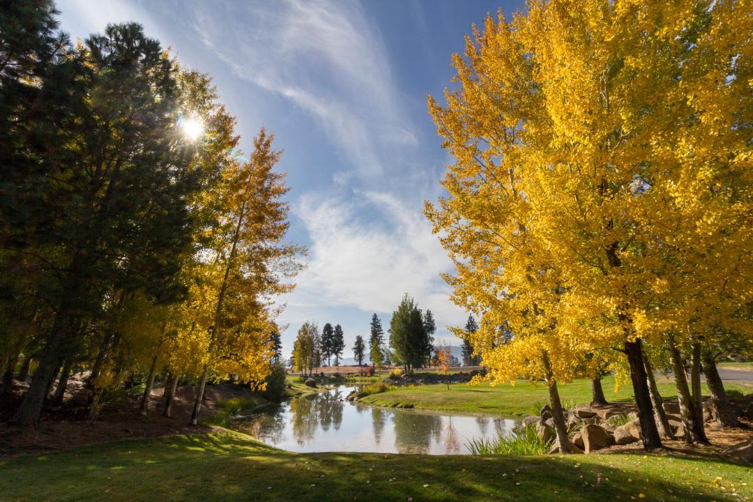 Photo of Others in Klamath Falls