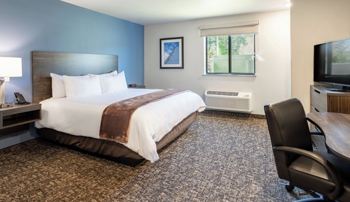 Room, 1 Queen Bed (Mobility, Hearing, Roll In Shower)