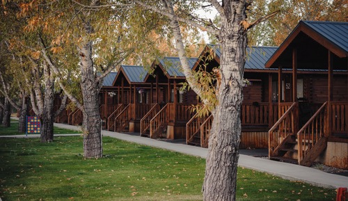 Willow 1-Bedroom Cabin with Bunk Alcove