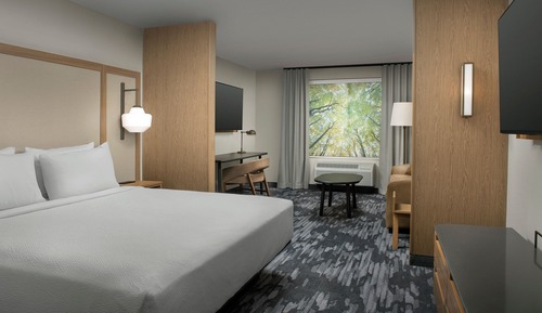 Suite, 1 King Bed with Sofa bed, Hearing Accessible