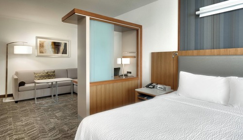 Suite, 1 King Bed with Sofa bed, Hearing Accessible (Accessible Bathtub)