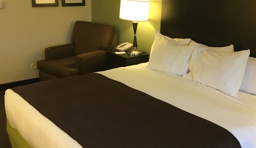 Room, 1 King Bed, Accessible, Non Smoking