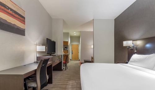 Suite, 1 King Bed, Jacuzzi, Non Smoking