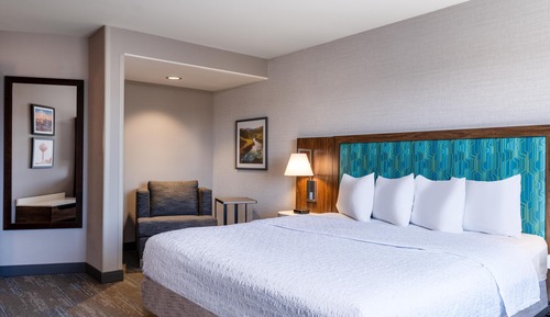 Suite, 1 King, Accessible