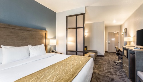 Suite, 1 King Bed with Sofa bed, Non Smoking
