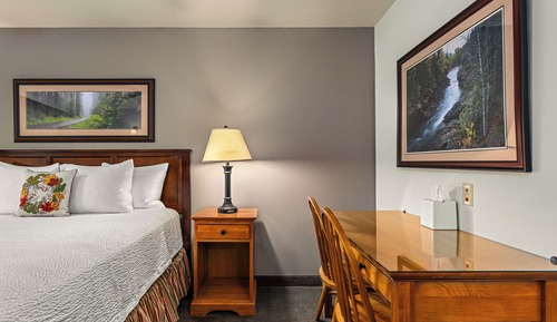 Traditional Single Room, 1 King Bed, Mobility Accessible