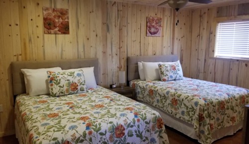 Cabin 6
