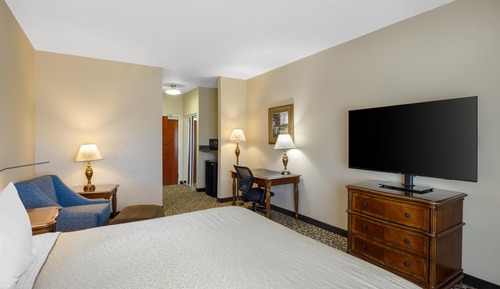 Standard Room, 1 King Bed, Non Smoking