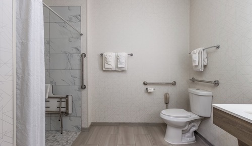 Room, 1 King Bed, Roll-in Shower (Communications, Mobility Accessible)