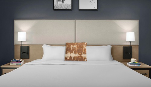 Studio, 1 King Bed with Sofa bed (View)