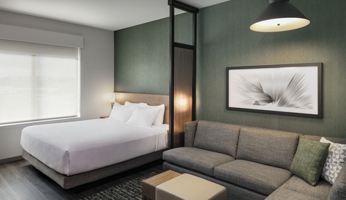 Room, 1 King Bed with Sofa bed