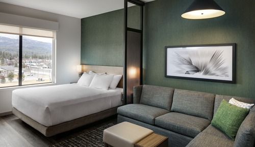 Room, 1 King Bed with Sofa bed, Mountain View