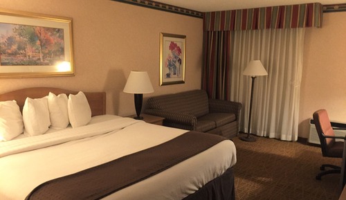 Deluxe Room, 1 King Bed, Non Smoking