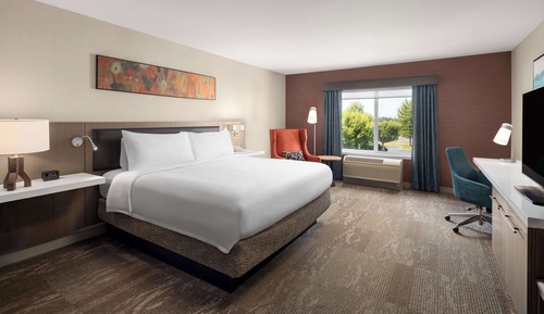 Room, 1 King Bed